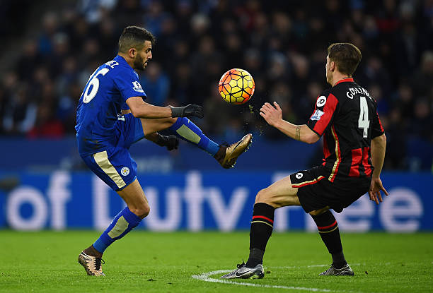 球迷再次見 球迷再次見